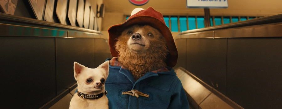 Приключения Паддингтона